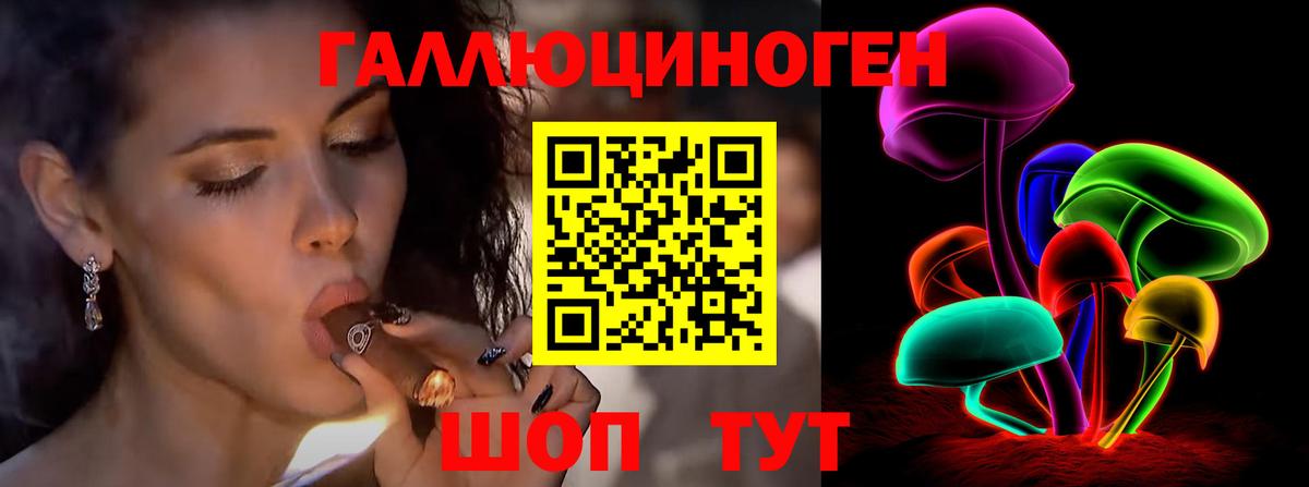 Псилоцибиновые грибы Psilocybe  Вход с VPN  Богородск  Псилоцибиновые грибы мухоморы 