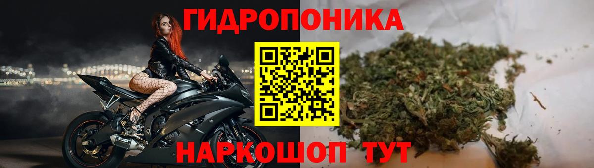 Богородск  Конопля LSD WEED  Шишки марихуана VHQ  Каннабис марихуана  Каннабис сатива  Вход с VPN 
